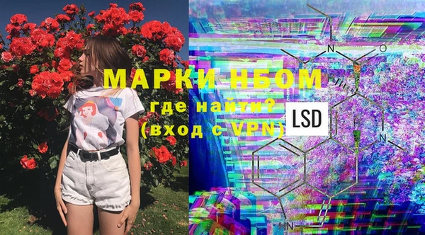 mdpv Бородино
