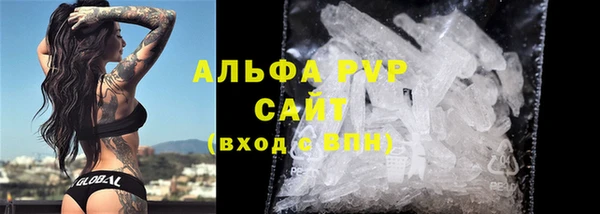 mdpv Бородино