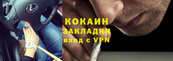 mdpv Бородино
