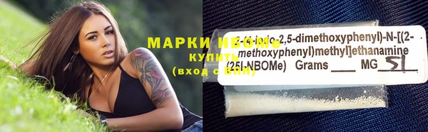 mdpv Бородино
