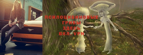 mdpv Бородино