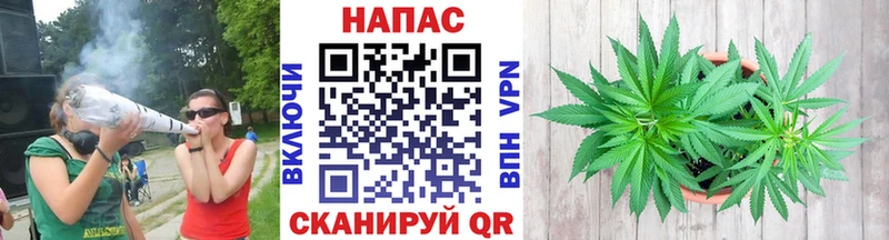 Канабис сатива  Можайск 